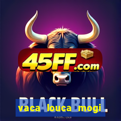 vaca louca mogi das cruzes